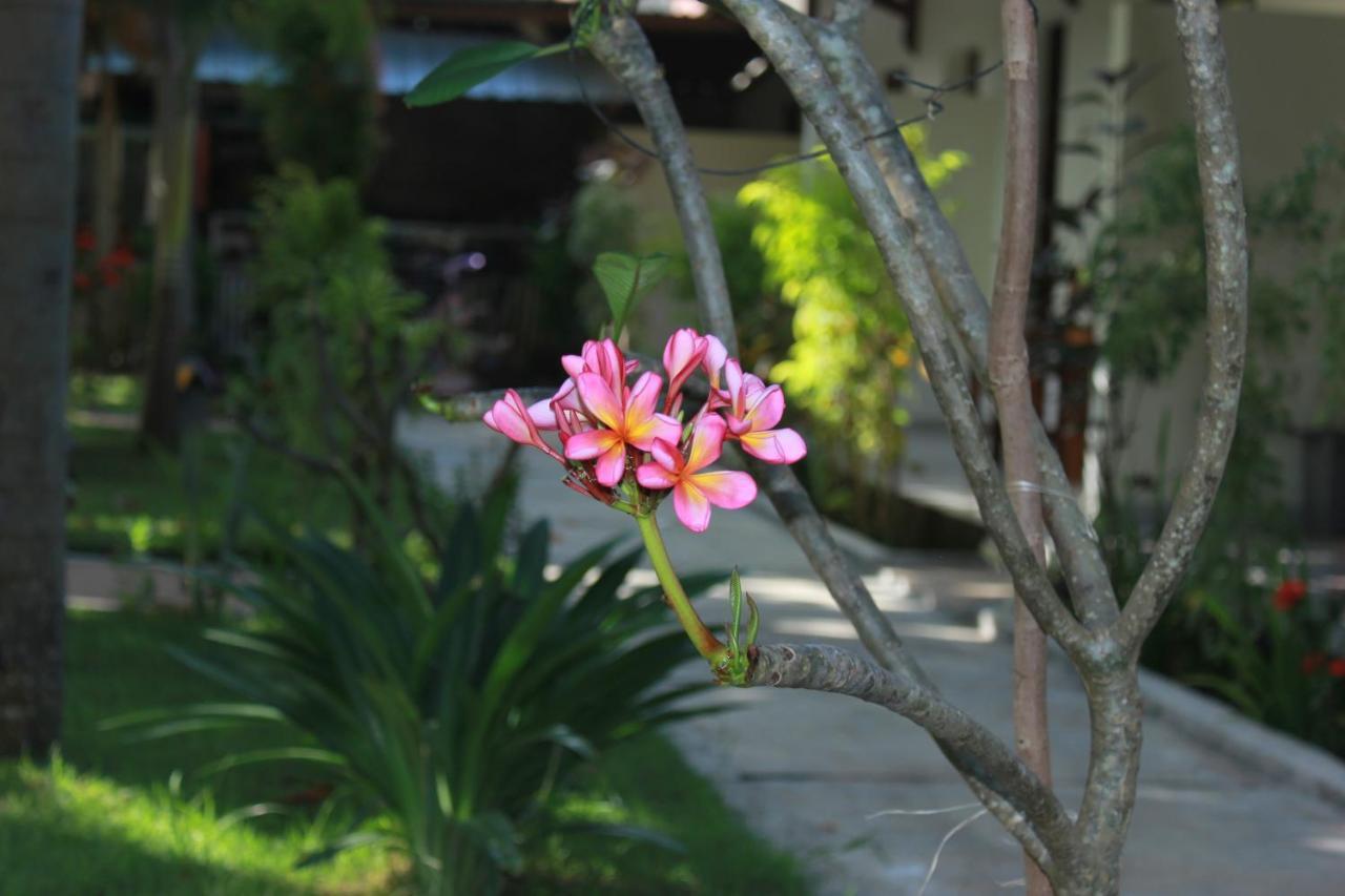 Herry Homestay Kuta  מראה חיצוני תמונה